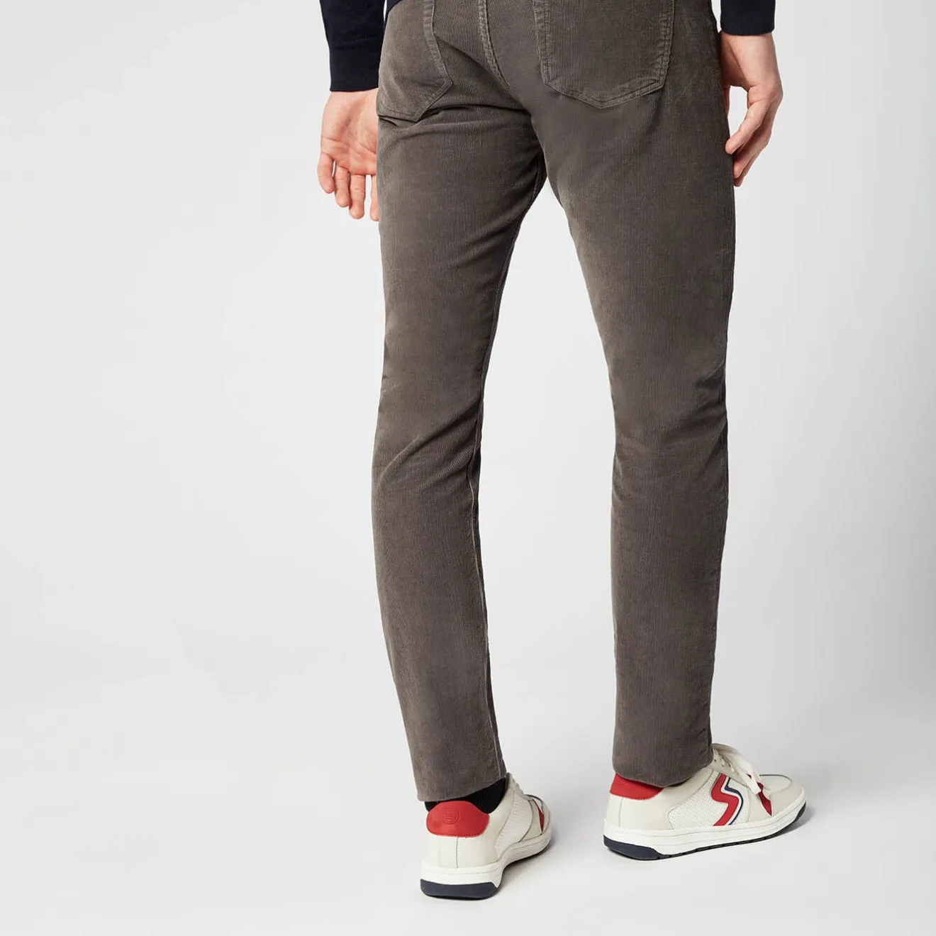 Pantalons>SERGE BLANCO 330 Tapered Fit Pants in Charcoal Velvet BLANC